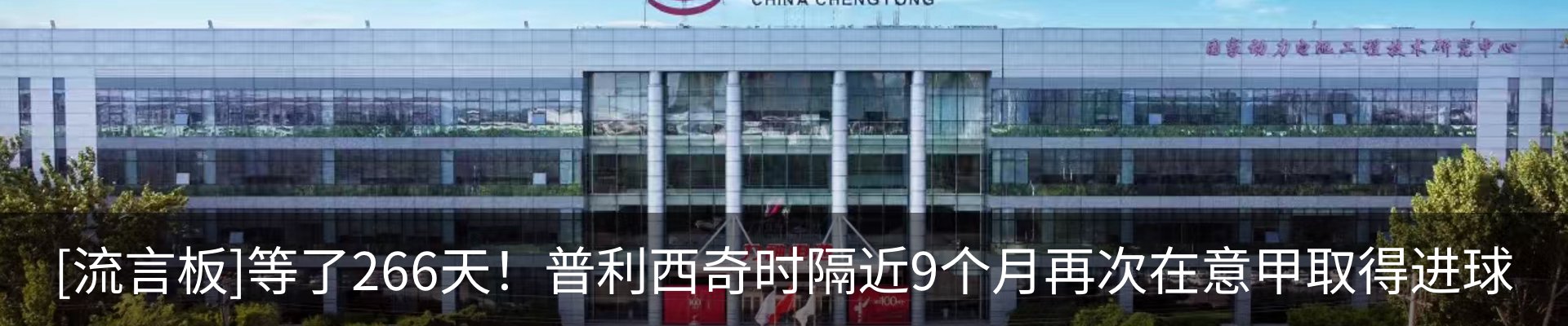 新闻动态